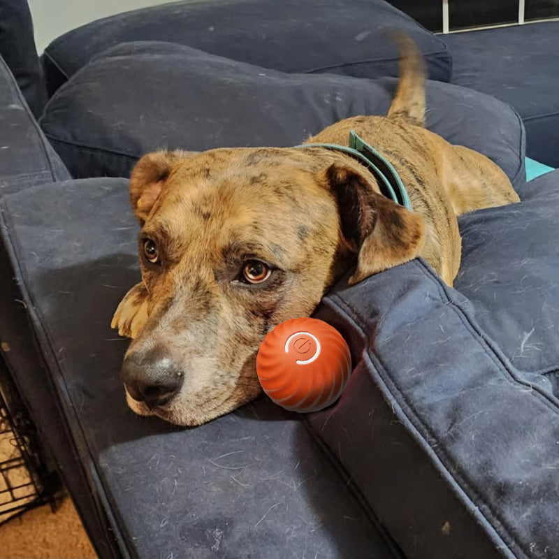 Interactive Ball