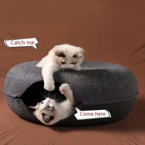 Cat Cave