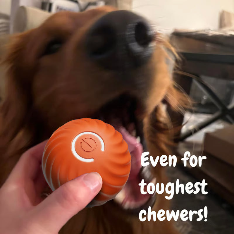 Interactive Ball