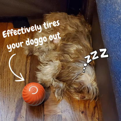 Interactive Ball