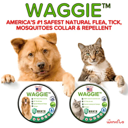 Waggie