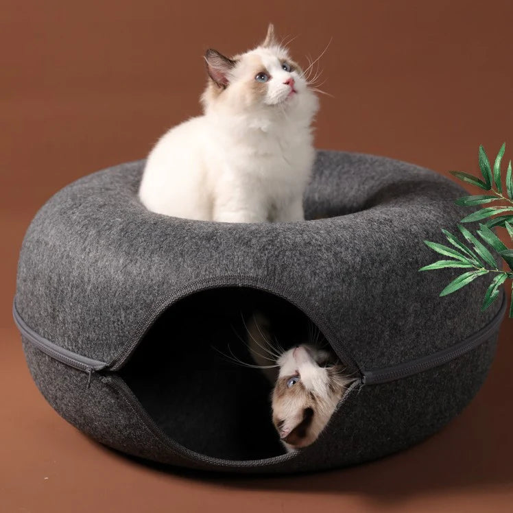 Cat Cave