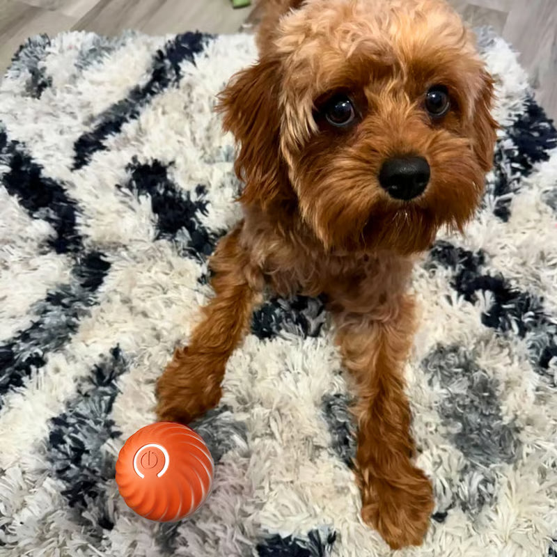 Interactive Ball