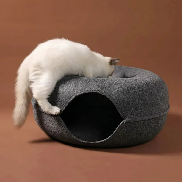 Cat Cave